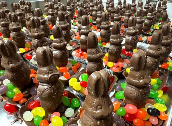 O'Shea's Milk Chocolate Bunny Tart