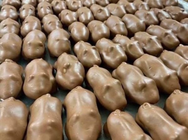 O'Shea's Famous Coconut Cream Penn Pigs