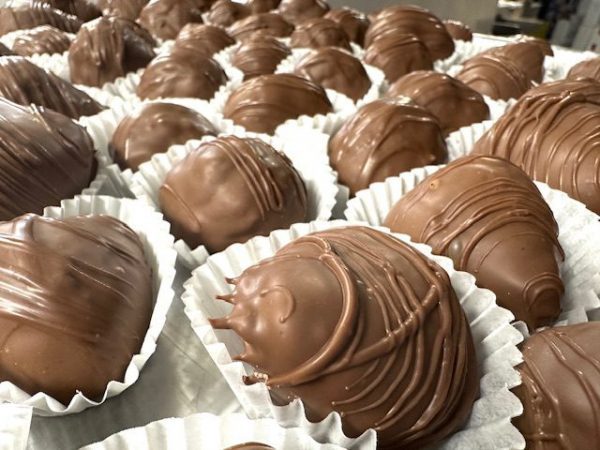 O'Shea's Hand Dipped Milk Chocolate Fresh Strawberries