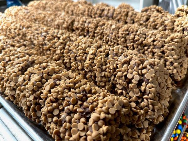 O'Shea's Decorated Milk Chocolate Pretzels w/ Peanut Butter Meltaway Chips
