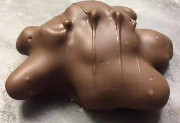 O'Shea's Heart Box of Chocolate Covered Turtles