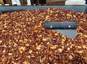 O'Shea's Jumbo Redskin Peanuts