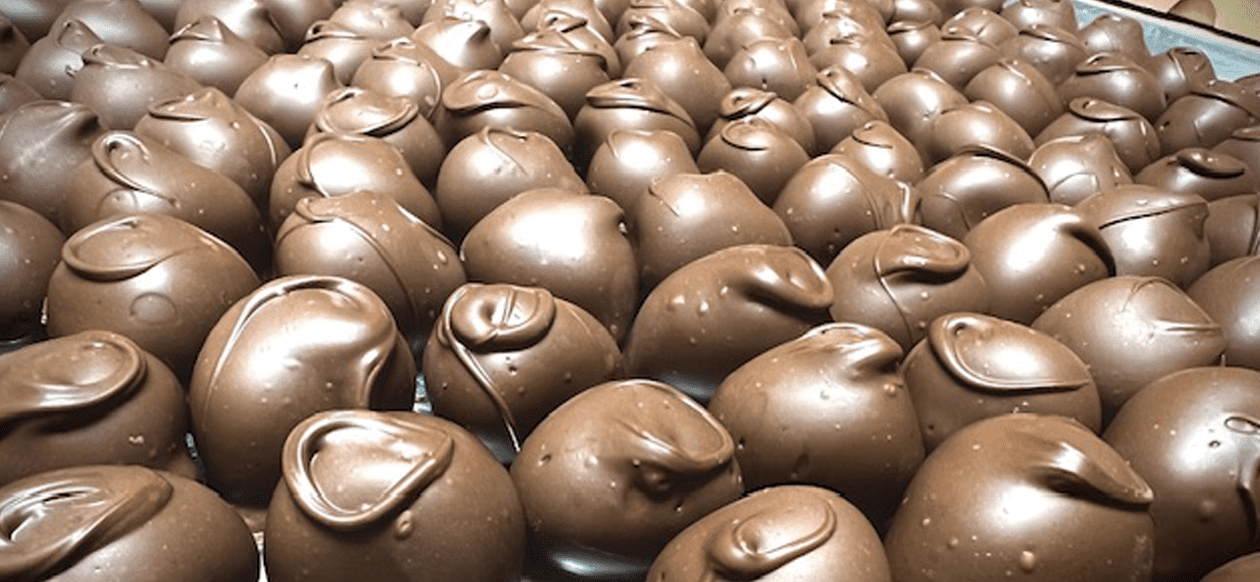 Chocolate Covered Berries