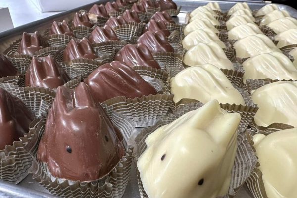 Gourmet Bunny Truffles