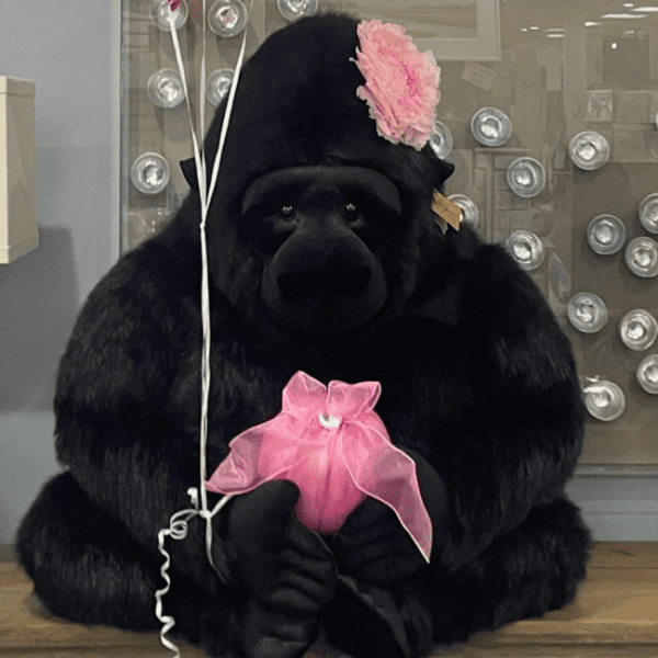 Jumbo Plush Gorilla - Great Surprise!