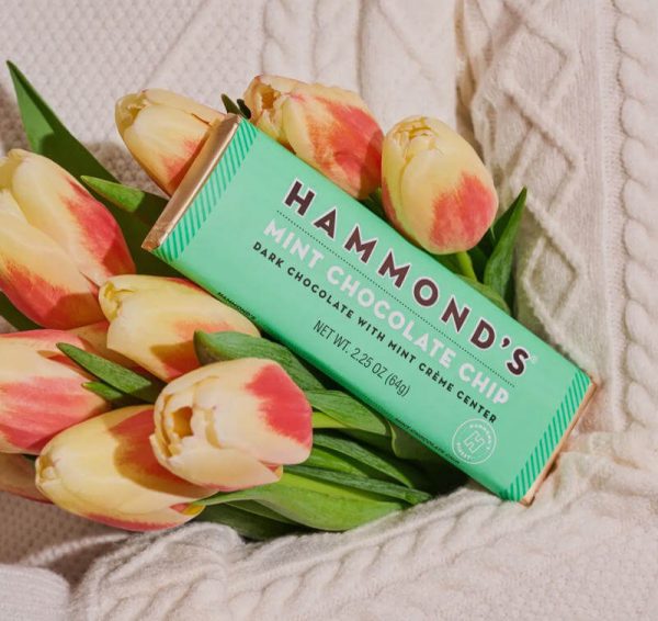 Hammonds Gourmet Foil Wrapped Candy Bar - Mint Chocolate Chip